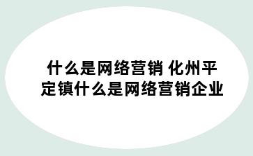 什么是网络营销 化州平定镇什么是网络营销企业